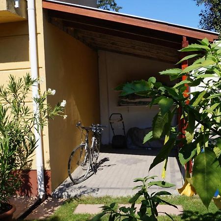 Akacia Apartment - Free Inside Parking, 2 Bedrooms, Garden, Next To Centre Budapest Exteriör bild